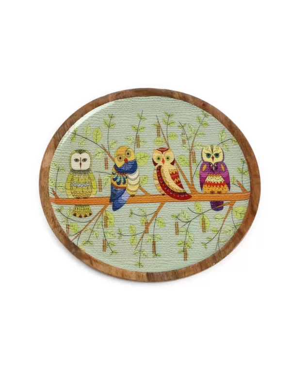 Quirky Owl Design Platter – Amoliconcepts