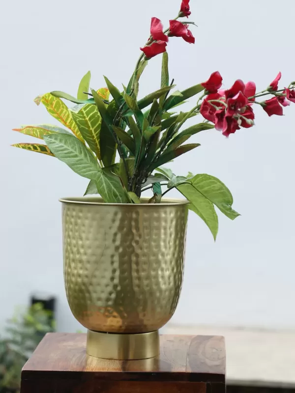 Gold finish planter bucket gifting ideas, Diwali gifting, Home Decor, Designer home decor, exclusive home decor, Hand Crafted - Amoliconcepts