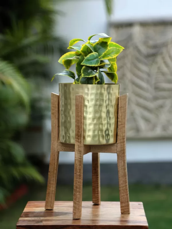 Gold Finish hammered Planter with wooden stand – Amoliconcepts - Amoliconcepts