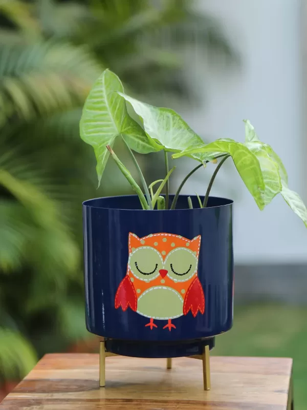 Owl Design Hand painted planter – Blue – Amoliconcepts - Amoliconcepts