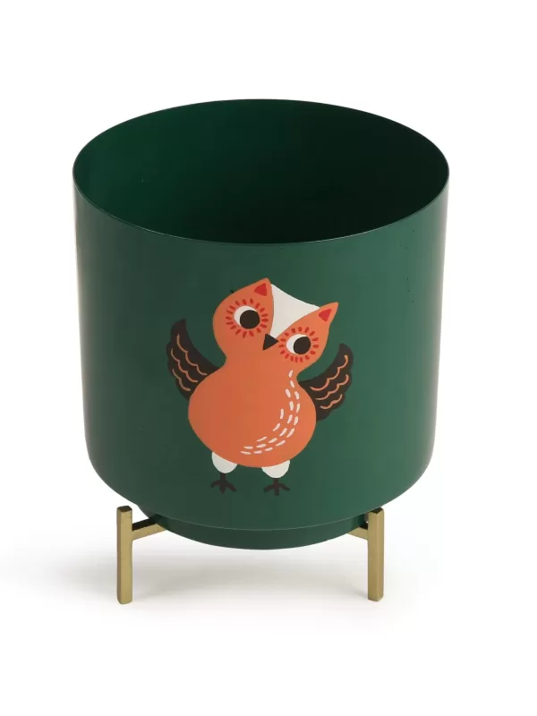 Owl Design Hand painted planter – Green – Amoliconcepts - Amoliconcepts