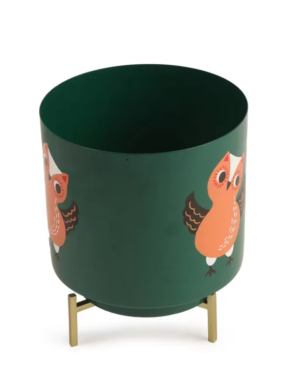 Owl Design Hand painted planter – Green – Amoliconcepts - Amoliconcepts
