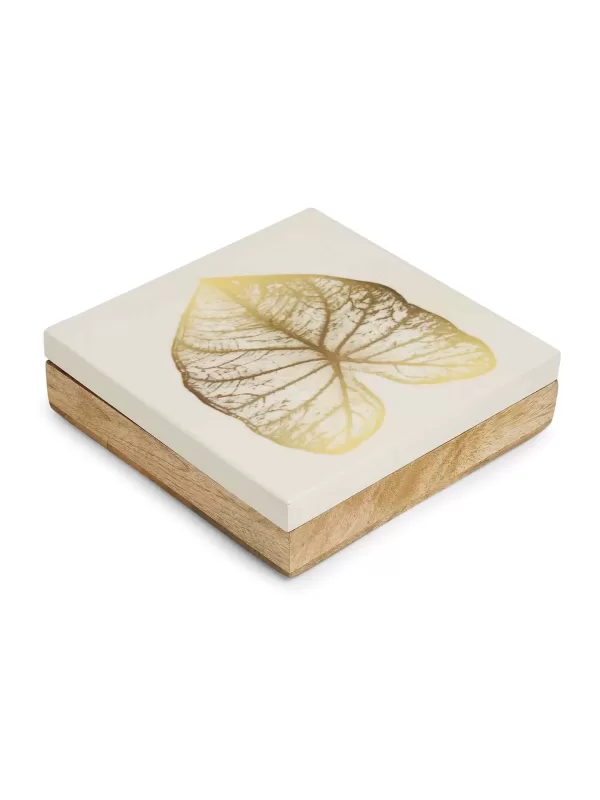 Mango wooden spice box  in enamel finish with gold leaf design - Amoliconcepts