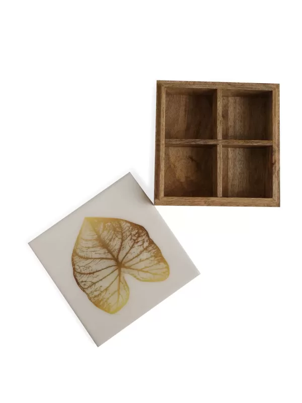 Mango wooden spice box in enamel finish with gold leaf design - Amoliconcepts